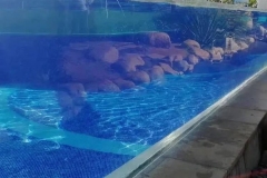 hotel-dengan-kolam-renang-acrilik-di-atas-gedung-FILEminimizer