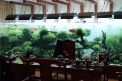 jua-Kolam-ikan-akrilik-bening-FILEminimizer