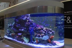 Aquarium-akrilik-untuk-keindahan-hotel-FILEminimizer
