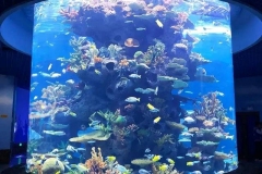 Beli-aquarium-tabung-kapasitas-besar-FILEminimizer