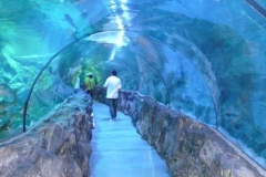 aquarium-dinding-besar-bawah-laut-FILEminimizer