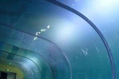 Aquarium-akrilik-custom-bentuk-bawah-air-FILEminimizer