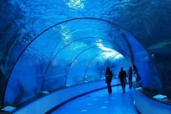 Aquarium-custom-bawah-air-laut-berkualitas-FILEminimizer