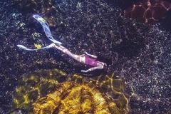 Aquarium-diving-murah-berkualitas-FILEminimizer