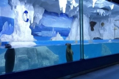 Aquarium-murah-berkualitas-di-surabaya-FILEminimizer