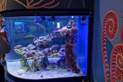 Aquarium-murah-custom-bentuk-dan-ukuran-FILEminimizer