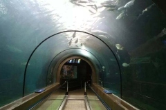 Aquarium-raksasa-akrilik-bahan-terbaik-berkualitas-FILEminimizer