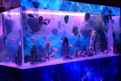 Aquarium-raksasa-berkualitas-di-jakarta-FILEminimizer
