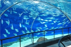 Aquarium-super-besar-untuk-restoran-bawah-air-FILEminimizer