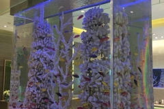 Aquaspace-aquarium-murah-di-surabaya-FILEminimizer