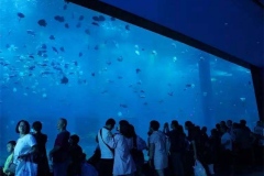 Beli-akuarium-bawah-laut-seperti-di-ancol-FILEminimizer