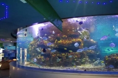 Beli-akuarium-besar-untuk-musium-FILEminimizer
