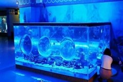Beli-aquarium-custom-dengan-kualitas-terbaik-FILEminimizer