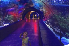 Big-aquarium-akrilik-berkualitas-FILEminimizer