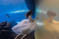Biggest-aquarium-pertunjukan-berkualitas-FILEminimizer