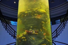 Giant-aquarium-untuk-mall-mall-besar-FILEminimizer