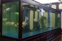 Harga-Aquarium-berkaulitas-FILEminimizer