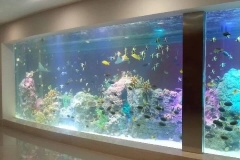Harga-akuarium-ikan-dari-akrilik-tebal-FILEminimizer