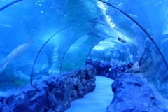 Jasa-Pembuatan-Big-aquarium-akurium-besar-dan-mewah-FILEminimizer