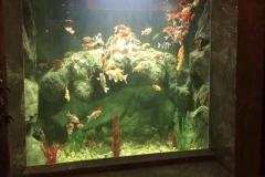 Jasa-Pembuatan-Custom-Aquarium-di-jawa-timur-FILEminimizer