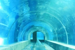 Jasa-Pembuatan-Tunnel-aquarium-FILEminimizer