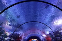 Jasa-Pembuatan-mall-aquarium-FILEminimizer