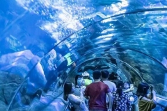 Jasa-pembuatan-Aquarium-air-laut-FILEminimizer