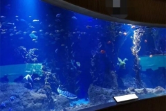 Jasa-pembuatan-Aquarium-raksasa-FILEminimizer