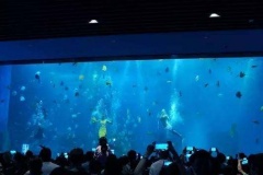 Jasa-pembuatan-Big-aquarium-FILEminimizer