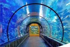 Jasa-pembuatan-Planet-Aquarium-besar-FILEminimizer