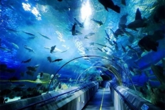 Jasa-pembuatan-Sea-water-aquarium-FILEminimizer