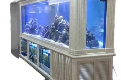 Jasa-pembuatan-Tunnel-aquarium-akrilik-FILEminimizer