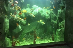 Jasa-pembuatan-akuarium-aquascape-FILEminimizer