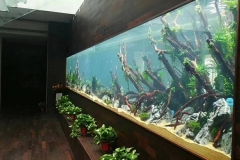 Jasa-pembuatan-aquarium-dengan-harga-bersahabat-FILEminimizer
