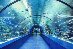Jasa-pembuatan-aquarium-super-besar-FILEminimizer