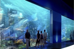 Jasa-pembuatan-dan-pemasangan-aquarium-besar-pertunjukan-FILEminimizer
