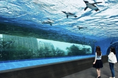 Jual-Aquarium-bawah-air-akrilik-tebal-berkaulitas-FILEminimizer