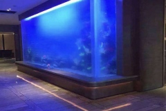 Jual-Custom-aquarium-berkualitas-FILEminimizer