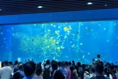 Jual-akuarium-bawah-laut-seperti-di-jakarta-FILEminimizer