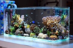Jual-aquarium-besar-1-meter-FILEminimizer