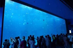 Jual-aquarium-besar-mewah-untuk-pertunjukan-FILEminimizer