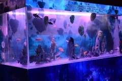 Jual-aquarium-custom-harga-bersahabat-FILEminimizer