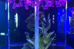 Jual-aquarium-tabung-dengan-ukuran-bervareasi-FILEminimizer