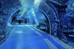 Jual-dan-jasa-buat-Big-aquarium-di-indonesia-FILEminimizer