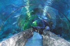 Jual-dan-pembuatan-Aquarium-bawah-laut-raksasa-FILEminimizer