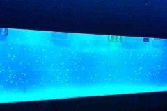 Jual-dan-pembuatan-akuarium-segala-ukuran-berkualitas-FILEminimizer