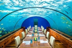 Konsultan-aquarium-dan-pembuatanya-FILEminimizer