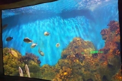 Konsultan-aquarium-di-surabaya-FILEminimizer