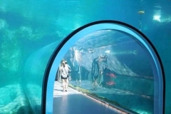 Konsultan-big-aquarium-surabaya-FILEminimizer