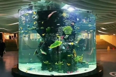 Kualitas-terbaik-aquarium-ikan-terumbu-karam-FILEminimizer